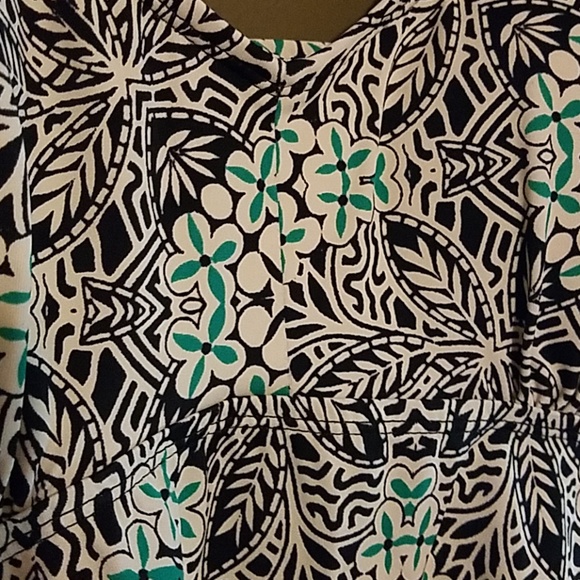 Swim Tank - Picture 4 of 4